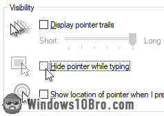 Hide pointer while typing