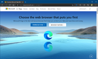 The Microsoft Edge browser (homepage)